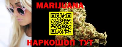 шишки Кандалакша