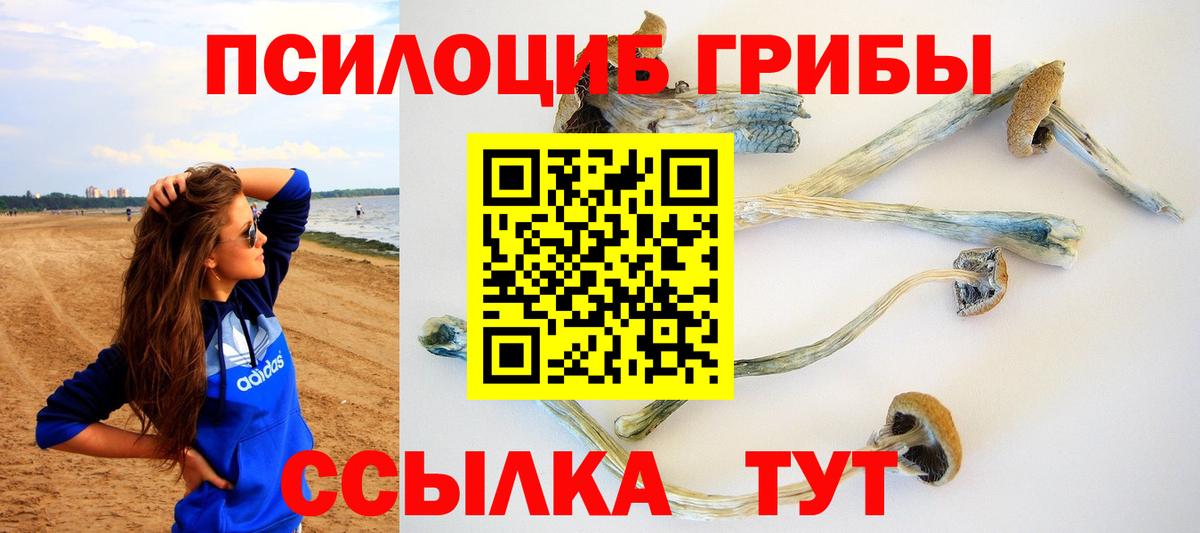 Краснознаменск  Галлюциногенные грибы MAGIC MUSHROOMS  где купить наркотик  Вход с VPN 